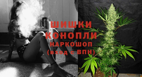 не бодяженный Каменногорск