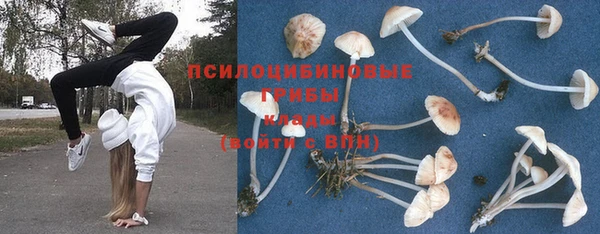 не бодяженный Каменногорск
