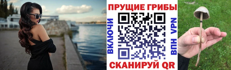 Псилоцибиновые грибы Magic Shrooms  мориарти как зайти  Петровск-Забайкальский 